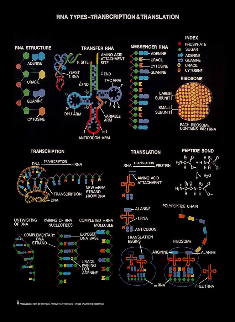 Biochemistry