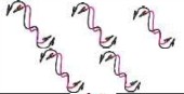 Crocodile Clips