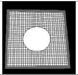 Wire gauze