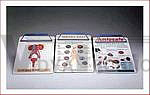 Hip Joint Full Function Professional Model Bone