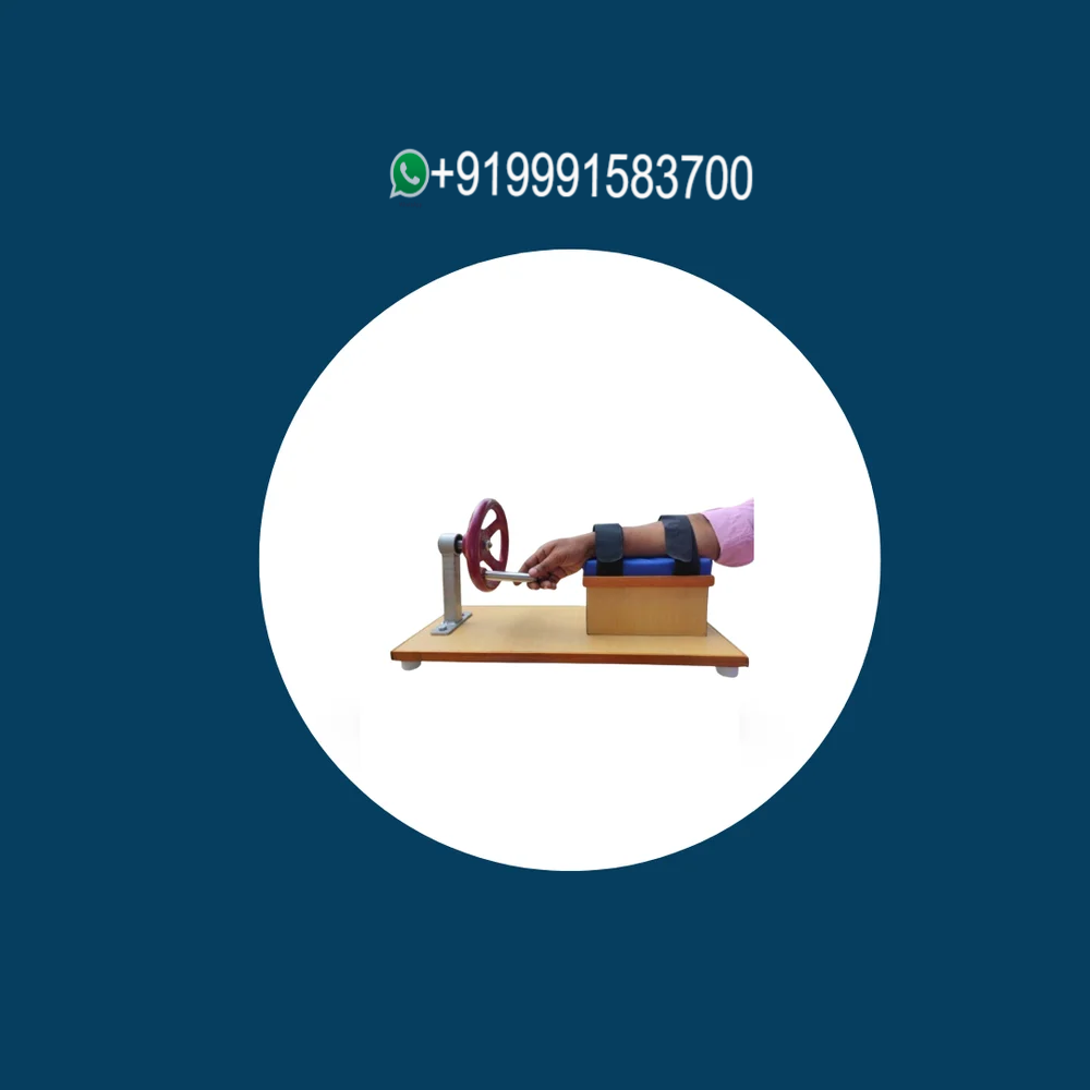 Wrist Circumductor