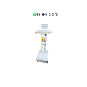 DIGITAL WEIGHT SCALE 2 IN 1