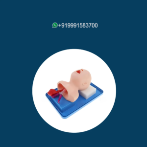 Newborn Intubation Baby Model
