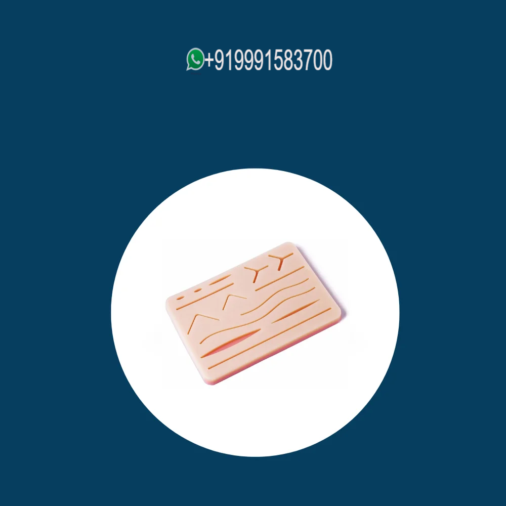 Surgical Suture Model